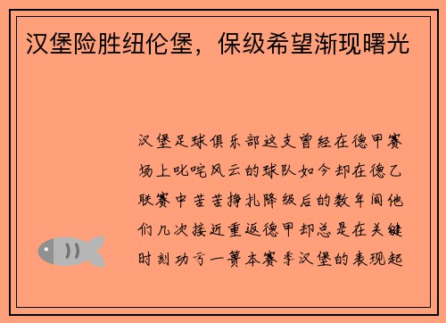 汉堡险胜纽伦堡，保级希望渐现曙光